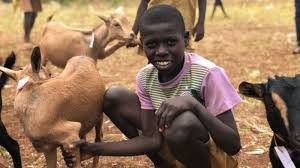 Su kuyusu ekip çalışması