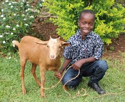 Su ikram etmenin fazileti